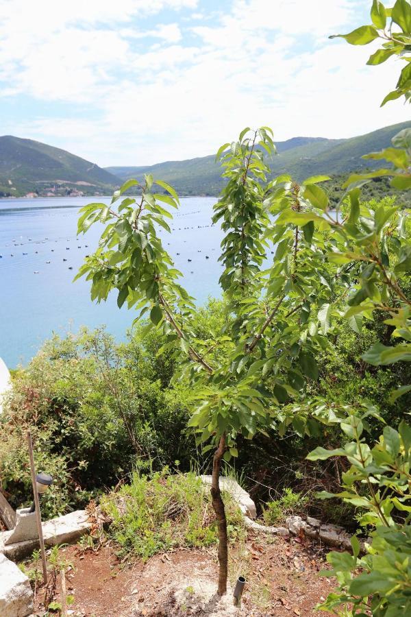 Apartments By The Sea Kabli, Peljesac - 10221 Brijesta ภายนอก รูปภาพ